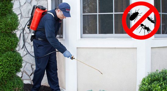 Atabey Akrep İlaçlama böcek ilaçlama ve haşere kontrolü — ilaclama-tr.com